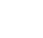 Birria Patron